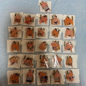 Sumo Acryl Halter 26 Typ Sammlerstück Display Sumo Wrestling Memorabilia - Bild 1 von 1
