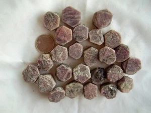 Ruby Crystal Rough Display Specimens 15.60 oz from India - Picture 1 of 5