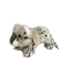 Folkmanis Realisitc Snow Leopard Cub Full Body Puppet 17"