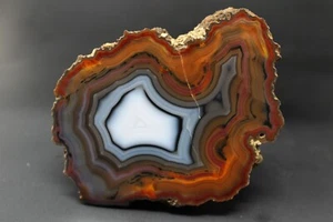 Condor agate collector specimen (fluorescent) - Foto 1 di 5