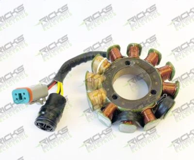 Estator Ricks para Ski-Doo Formula III 700 1998 24-111 Foto 1 de 3