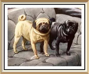 7x5 Animal Wall Print by Louis Agassiz Fuertes Canine Art Dog Tan & Black Pug - Picture 1 of 1