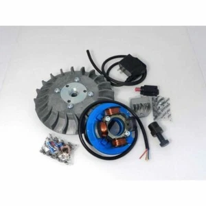 PARMAKIT ACCENSIONE ELETTRONICA ANTICIPO VARIABILE VOLANO 2,4Kg VESPA PX 125-150 - Imagen 1 de 1