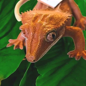 Gecko Crestado Increíbles Criaturas Safari Lagarto Juguete Pestañas Gecko Modelo de Exhibición - Imagen 1 de 13