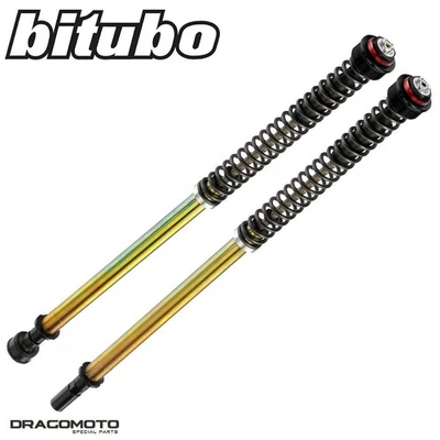 Cartucho SUZUKI GSX-R 750 K8 / K9 / L0 2008-2010 BITUBO S0086JBH01V1WO Foto 1 de 4