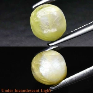 ★★ RARE !! CHRYSOBERYL OEIL DE CHAT DU SRI LANKA : 1,71 CARAT ★★ P245.129t - Imagen 1 de 3