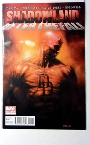 Shadowland: After the Fall #1 (2011) Marvel Alex Kurtz 1st Print Comic Book - Picture 1 of 1
