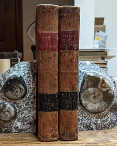 1832 A Biblical And Theological Dictionary, History & Customs Jews, 2 Vols. MAPS - Picture 1 of 16