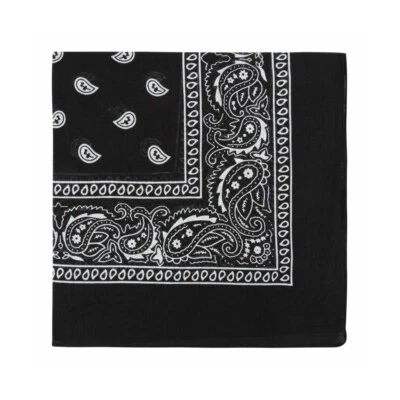 1-3Pcs Bandana 100 Cotton Paisley Print Double-Sided Scarf Head Neck Face Mask - Image 1 of 4