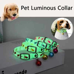 Luminous Cat Necklace Glowing Small Dog Cat Collar Anti-Loss Pet Cat Accessories - Picture 1 of 17