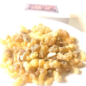 Incense Church Tear Scent Boswellia Sacra Tree Natural Gum Resin Burnable Aroma - Picture 1 of 15