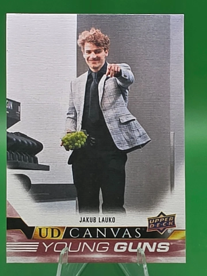 2022-23 Upper Deck Series 2 - Ud Canvas Young Guns Jakub Lauko #C224 (RC) - Image 1 of 1