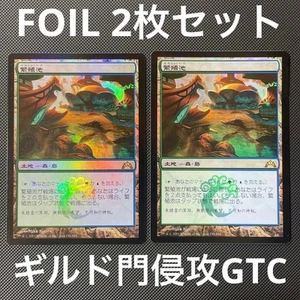 Foil 2-Piece Breeding Pool Land GTC Dual Shock MTG Magic Japanese NM - Picture 1 of 2