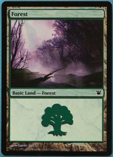 Forest (262) FOIL Innistrad NM Basic Land MAGIC MTG CARD (ID# 196819) ABUGames