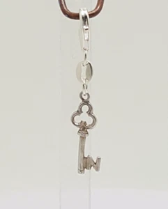 Gorgeous Sparkling Solid English Letter "N" Key Clip-on Charm 925 Unique #21417 - Picture 1 of 19