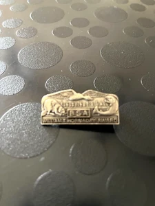 HORNADAY AWARD GOLD PIN ONLY 1500 AWARDS GIVEN OUT IN 114 YEARS SCOUTING RARE - Picture 1 of 3