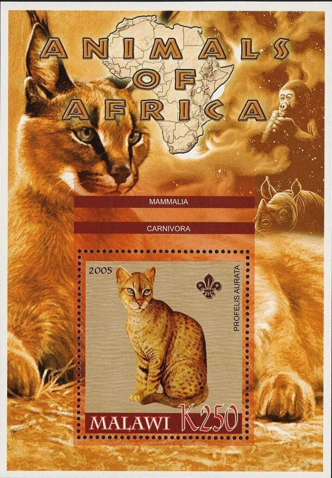Malawi Animals of Africa Mammals Profeus Aurata Cats Souvenir Sheet Mint NH - Image 1 of 4