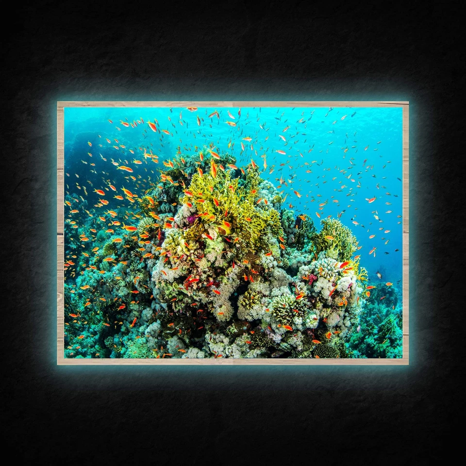 LED Leuchtbild - Korallenriff mit bunten Fischen Leuchtendes Wandbild mit Rahmen - Bild 1 von 4