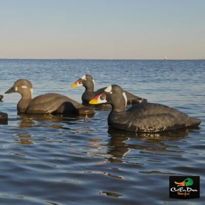 AVERY OUTDOORS GHG COMMERCIAL GRADE SURF SCOTER DECOYS - 6 PACK - Image 1 of 3