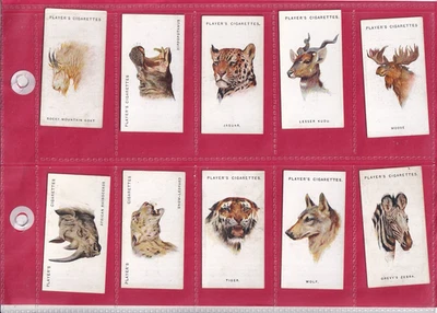 PLAYER'S - WILD ANIMALS' HEADSS - 1931 - 10 CARDS - HIGH NUMBERS - Image 1 of 2