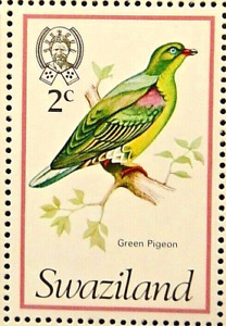 SWAZILAND 1976 SG237 2c. AFRICAN GREEN PIGEON -  MNH