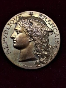 Medal 1892 France Comice Agricole  De-Villaines-La-Juhel - Bronze medal - Picture 1 of 2