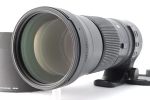 KOSTENLOSER VERSAND! [Opt NEUWERTIG] Sigma C 150-600mm f/5-6.3 DG OS HSM Nikon F aus JAPAN - Bild 1 von 24