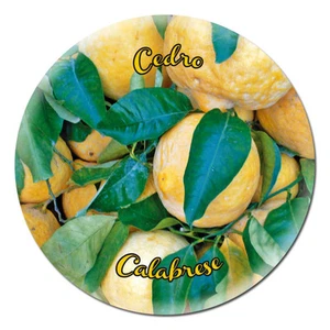 MAGNETE CALAMITA SPILLA PORTACHIAVI APRIBOTTIGLIA COLLANA CLIP CALABRIA CEDRO - Imagen 1 de 1