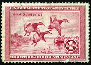 U.S. Used Stamp Scott #RW2 $1 Federal Duck Hunting. VF Appearing (minor faults). - Picture 1 of 2