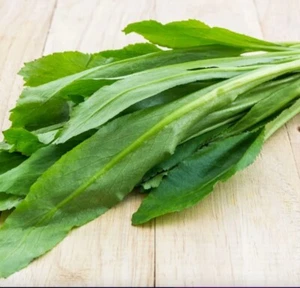 Culantro 100 Seeds Mexican Coriander Culinary Herb Widely Used in Asian Cuisines - Picture 1 of 1