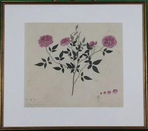 Rote Kamelie Rose Aquarell - Bild 1 von 7