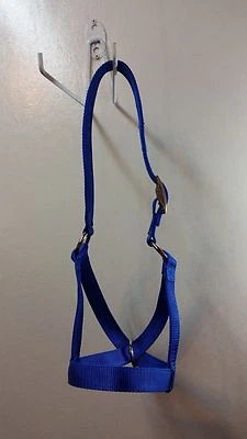 CARTER PET SUPPLY Newborn, Calf, Yearling, Cow, Bull Halter Double Ply USA Made Choice of Colors