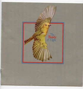 American Airlines First Class & Coach Menus Yellow Warbler Beauty of Flight - Picture 1 of 6