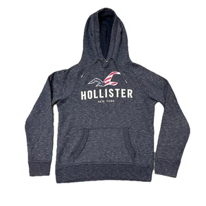 Hollister Hoodie Sweatshirt Men’s Small Pullover American Flag Spellout Surfer - Picture 1 of 7