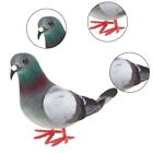Modello piccione schiuma da collezione fatto a mano imitazione uccellino ornamen