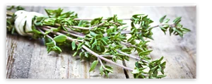 Küchenbild Green Herbs | Kräuter Küche | Wandbild Bild Glasbild 30 x 80 x 0,4 cm - Bild 1 von 3