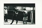 James A Fox Boxe Boxing 1970S Vintage Photo Original 17 Serie 3 20X30cm