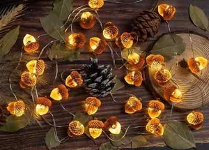 3D Twinkle Acorn Fall Decorations Harvest String Lights 10Ft Copper Wire 30 Leds - Picture 1 of 6