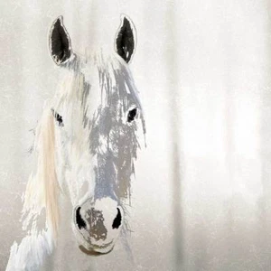 Sage by Marvin Pelkey Horse Print 27.5x27.5 - Picture 1 of 1