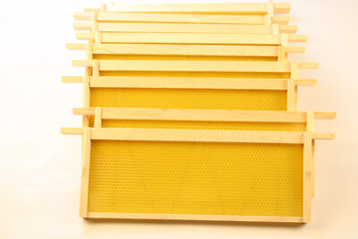 Bee Frames for sale | eBay