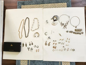 Lot of 37 Pieces of Costume Jewely & BIJOUX INDISCRETS MAGNIFIQUE METALIC CHAIN - Picture 1 of 16