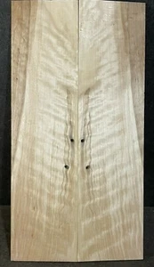 FLAMED, CURLY, SPALTED YELLOW BIRCH DROP TOP, ECO-FRIENDLY TONEWOOD - Picture 1 of 5