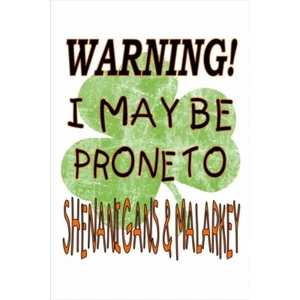 12" warning i may be prone to shenanigans malarkey metal parking street sign - Picture 1 of 1