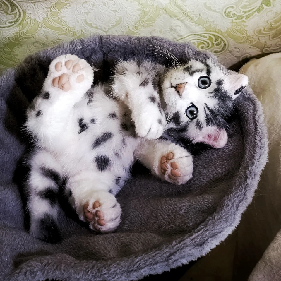 realistic plush  cat handmade-OOAK - Collectible Art Doll - Poseable toy cat - Image 1 of 4