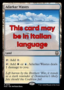 MTG ADARKAR WASTES EXC - DISTESE DELL'ADARKAR 316 - M3C EN  - MAGIC - Picture 1 of 1