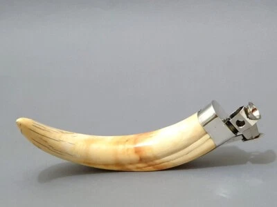 Pfeilring Solingen Zigarrenschneider Eber Hauer Zahn mit 835 Silbermontur c 1920 - Bild 1 von 4