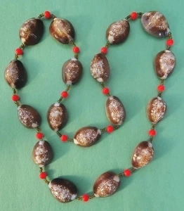 Vintage KUHRIEMUSCHELN & rote Lucite Perlen Halskette  - Bild 1 von 11