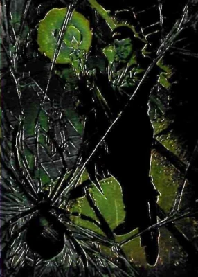 TCS 412   Dracula Topps 1991 Universal Monsters Monsterchrome Chase Card M 2 - Bild 1 von 2