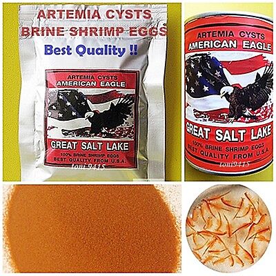 BEST Brine Shrimp Egg Artemia Cysts American Eagle USA PREMIUM Quality 90% • 17.79€