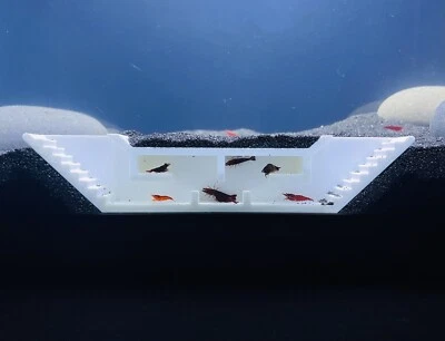 Shrimp Hideout Maze Freshwater Shrimp Tunnel Cave Aquarium Cherry Shrimp Hide - Image 1 of 4